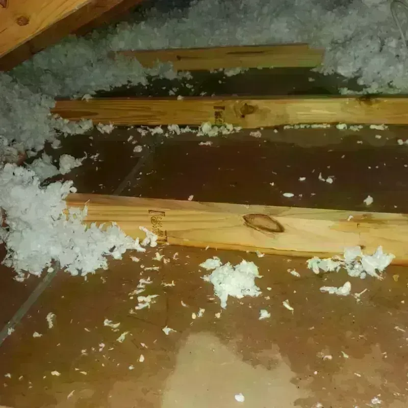 Attic Water Damage in Moody County, SD